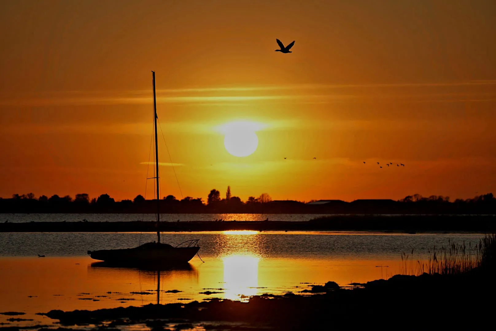 Segelboot als Silhouette im Sonnenuntergang vor Fehmarn